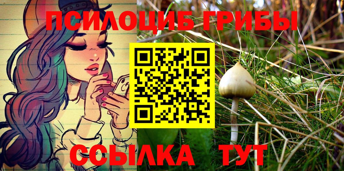 Псилоцибиновые грибы мицелий Асино