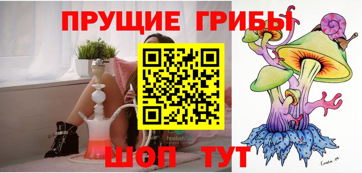 Галлюциногенные грибы Psilocybe  Галлюциногенные грибы мицелий  купить наркоту  Вход с VPN  Асино 